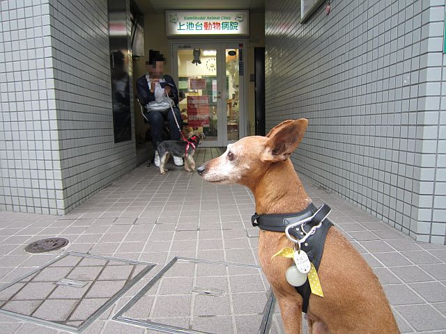 粍(2014.06.28)