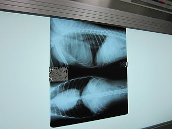 粍(2010.12.07)