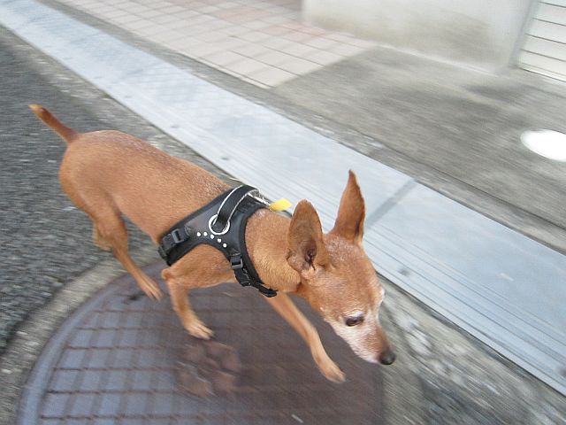 粍(2013.09.18)
