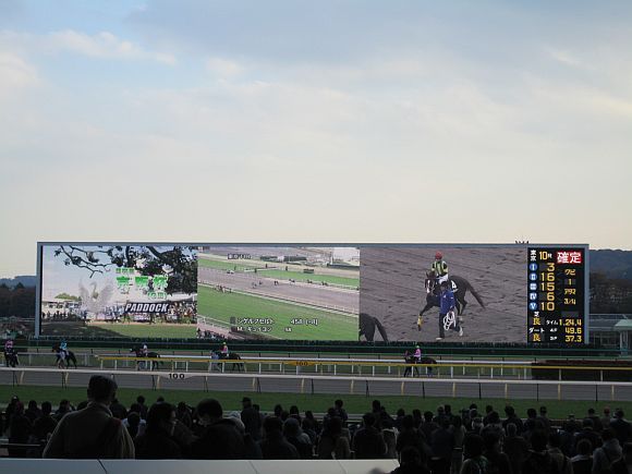 本馬場