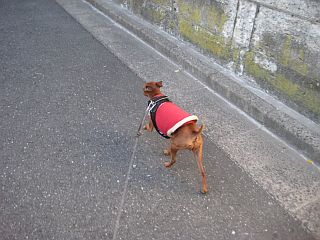 粍(2009.12.18)