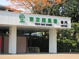 本馬場