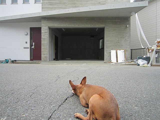 転居