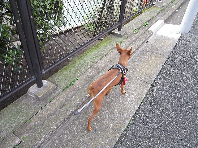 粍(2011.11.12)