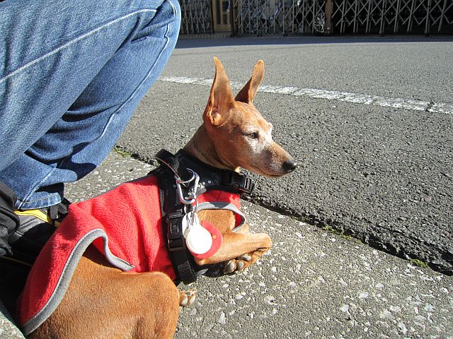 粍(2012.11.25)