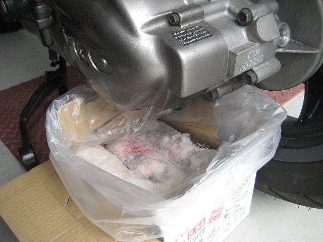 Alloro125