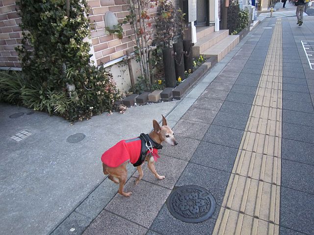 粍(2014.12.27)