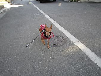 粍(2011.12.24)