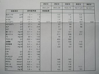 粍(2010.12.07)