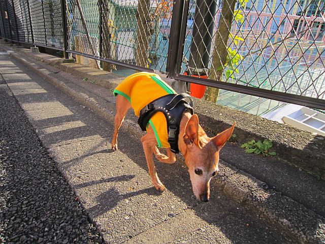 粍(2013.12.30)