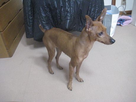 粍(2009.12.29)