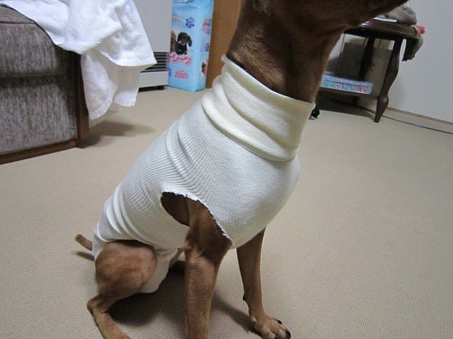 粍(2010.12.07)