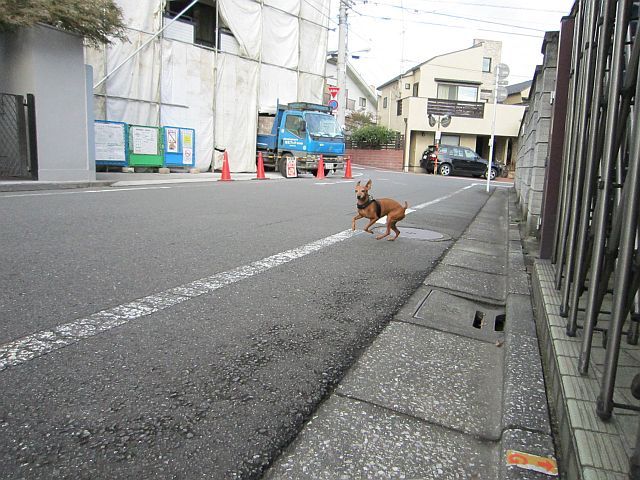 粍(2011.11.12)