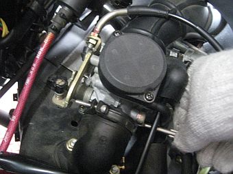 Alloro125