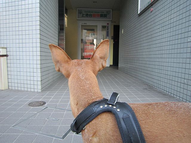 粍(2013.11.30)