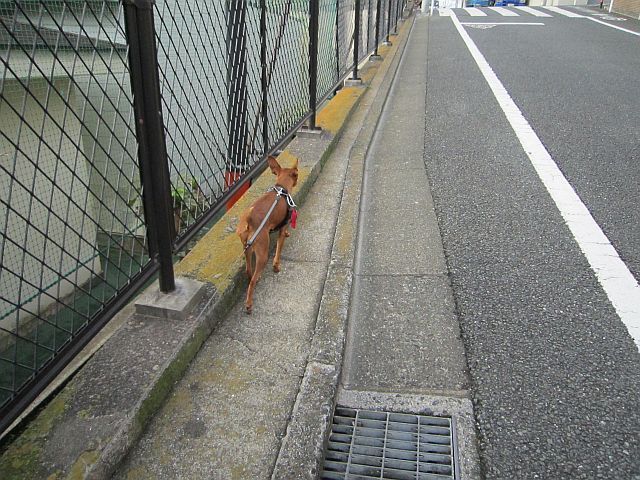 粍(2011.11.12)
