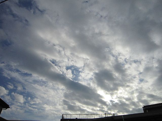 粍(2011.11.12)