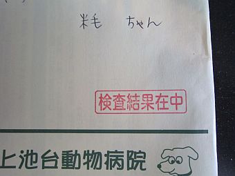 狂犬病予防注射済票