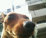 粍(2007.11.11)