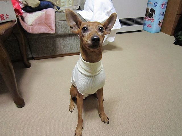 粍(2010.12.07)