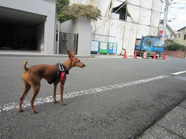 粍(2011.11.12)
