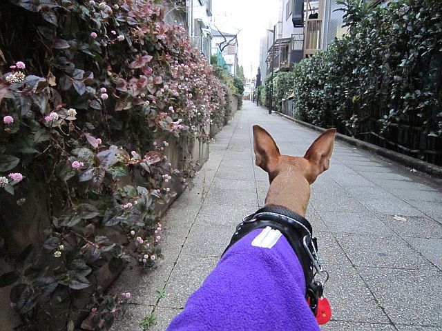 粍(2012.12.29)