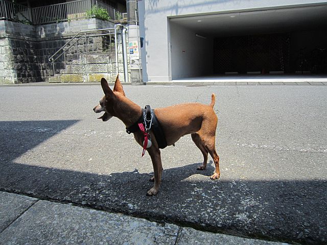 粍(2014.07.26)
