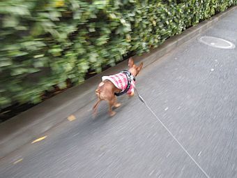 粍(2010.12.25)