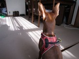 粍(2010.12.07)