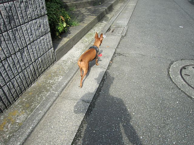 粍(2012.09.22)