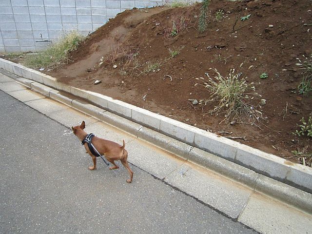 粍(2011.11.12)