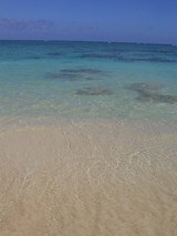 f8c70162.jpg