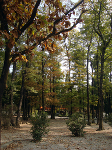 tent_area