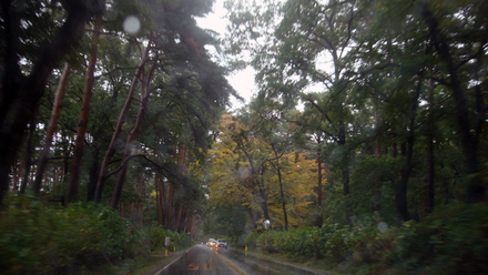 rain