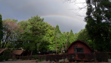 rainbow
