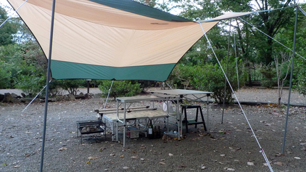tarp
