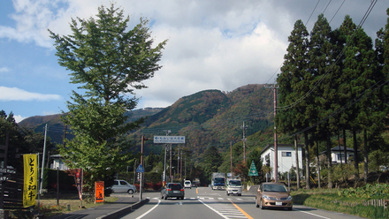 momiji_river