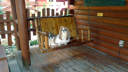 balanco
