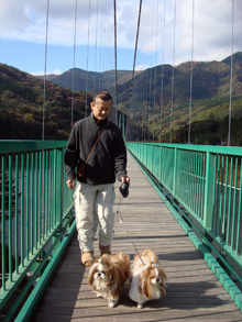 suspension-bridge