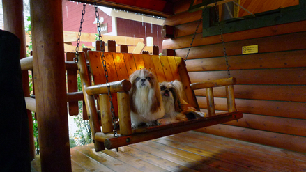 balanco