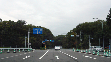 nasu