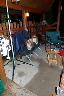dinner_time