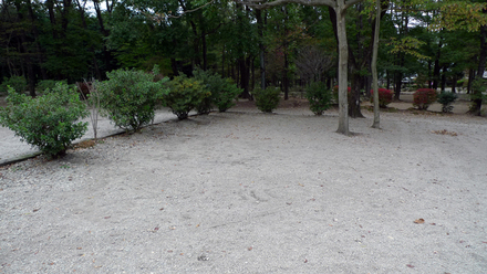 tent_area