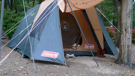 tent