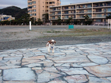 お友達