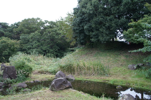 DSC08460
