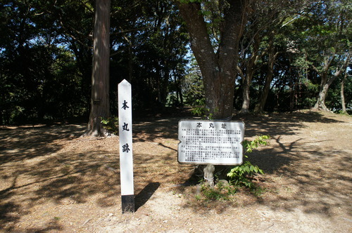 DSC00203
