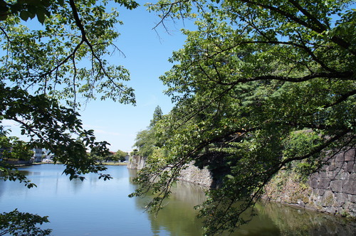 DSC08013