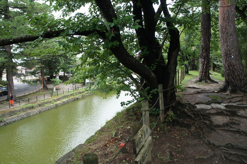 DSC00521