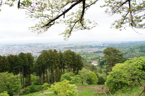 DSC00537